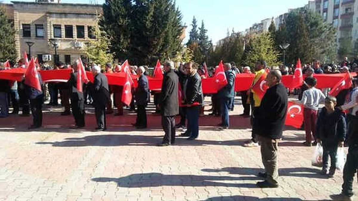 Savur\'da Zeytin Dalı Harekatına Bayraklı Yürüyüşle Destek Verildi