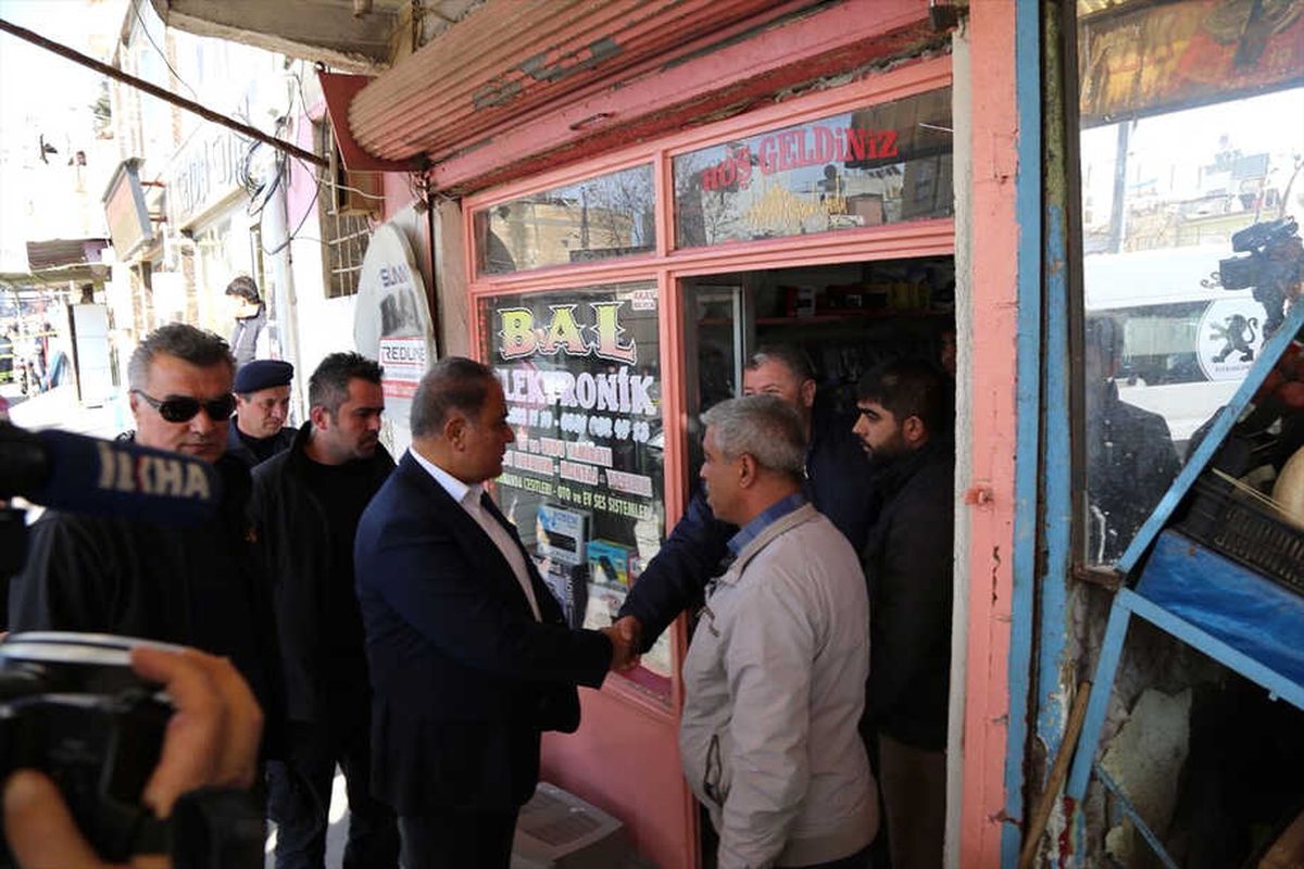 Zeytin Dalı Harekatı