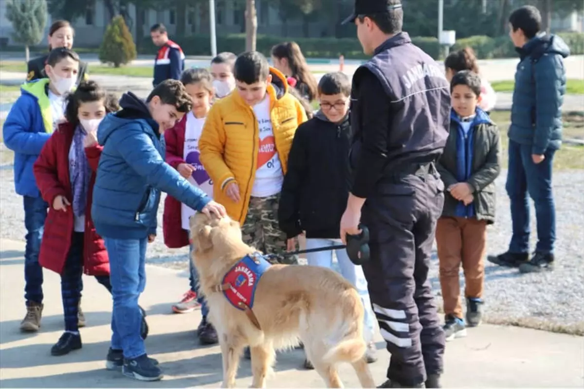 4 Şubat Dünya Kanser Günü