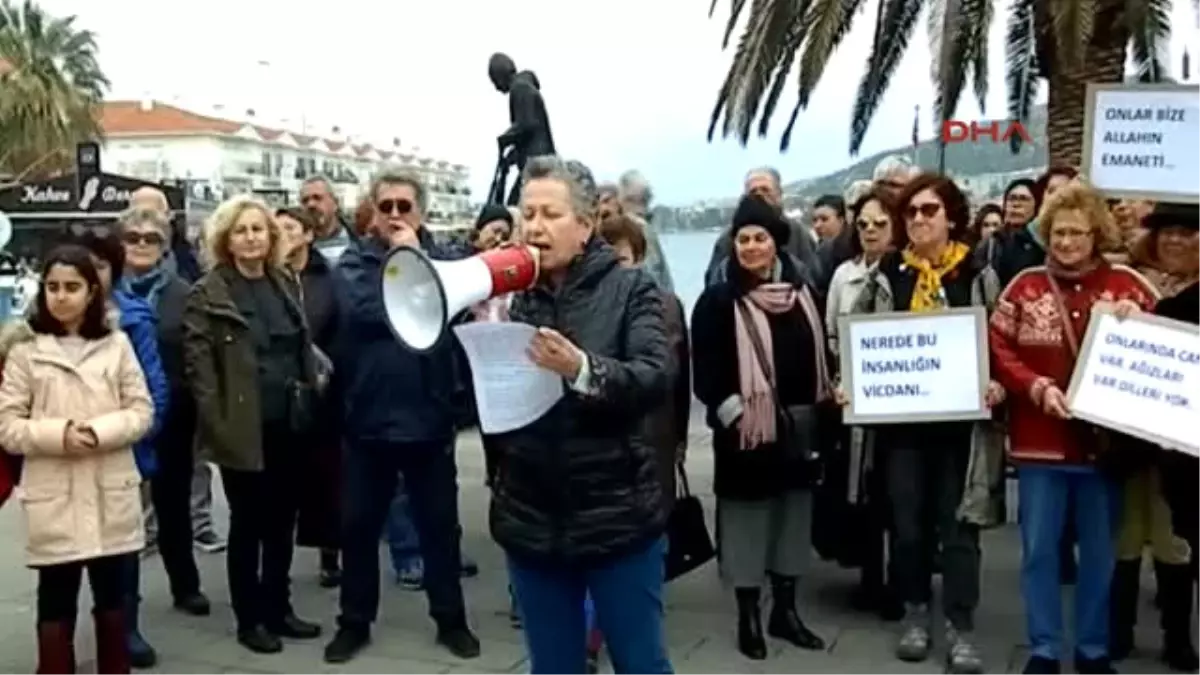 İzmir Foça\'da, Hayvanlara Şiddet ve Tecavüz Tepkisi