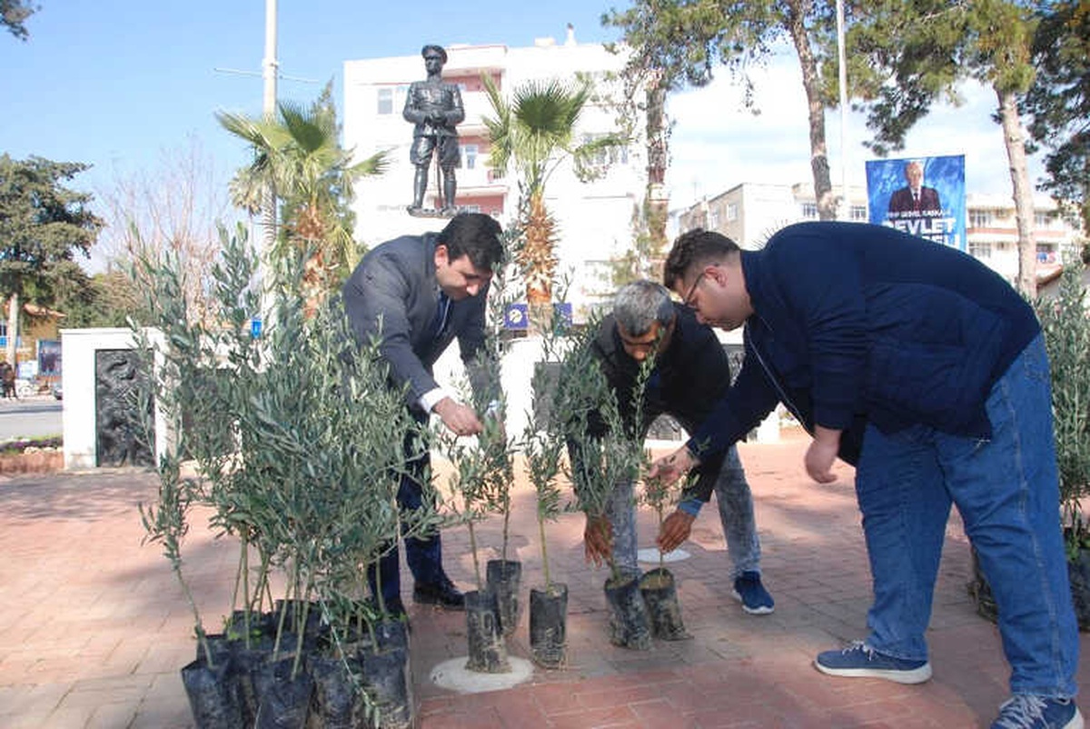 Zeytin Dalı Harekatı\'na 10 Bin Zeytin Fidanıyla Destek