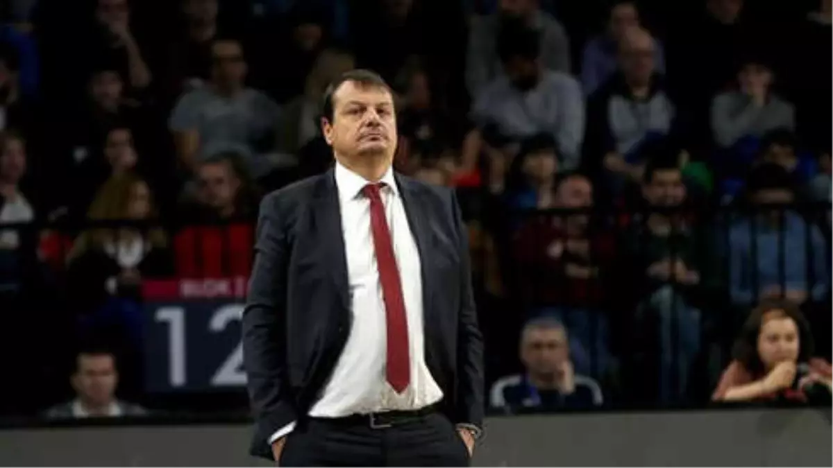 Ataman, Obradovic\'e Tepkili