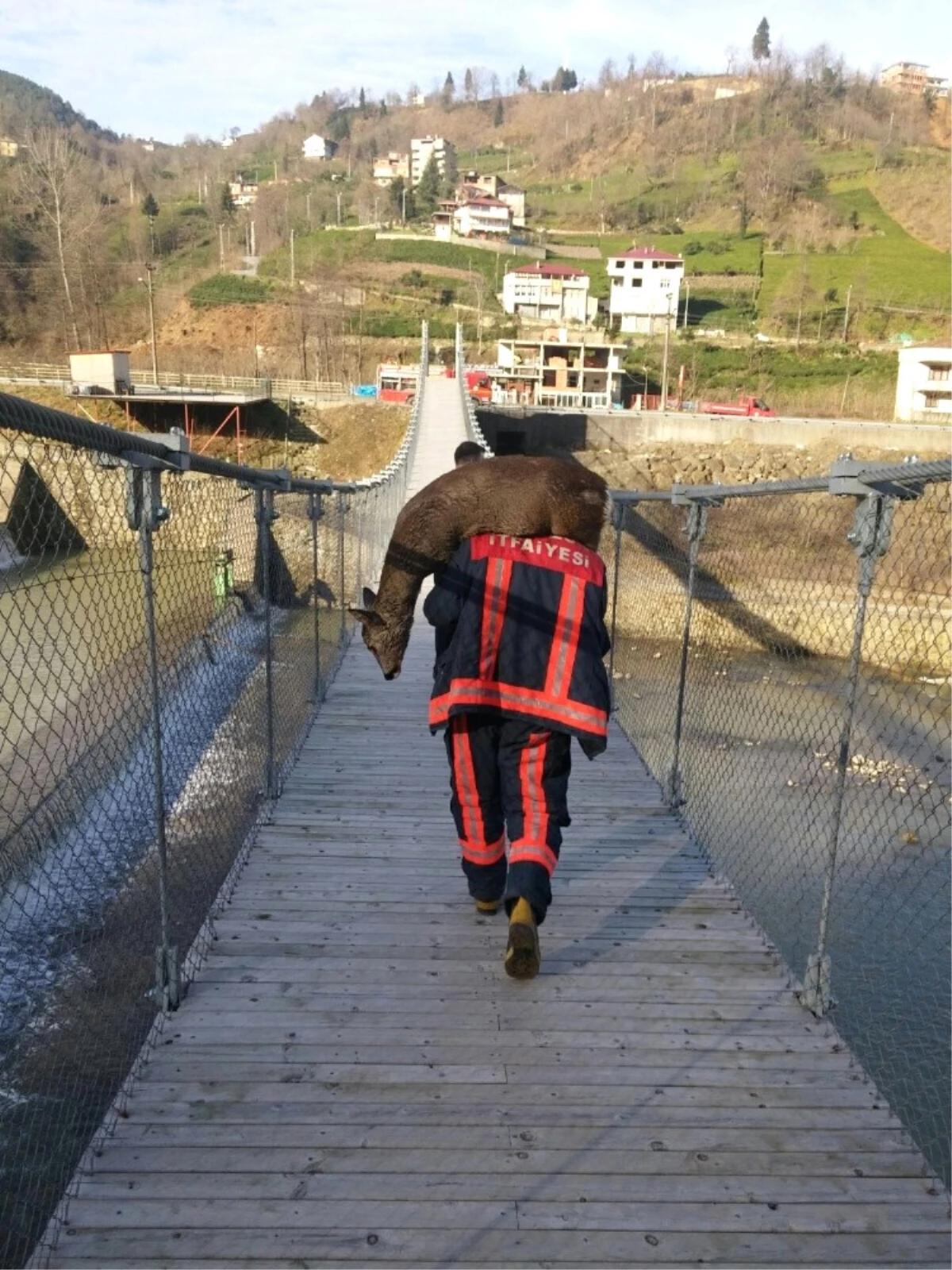 Derelerde Mahsur Kalan Karacalar İçin Seferber Oldular