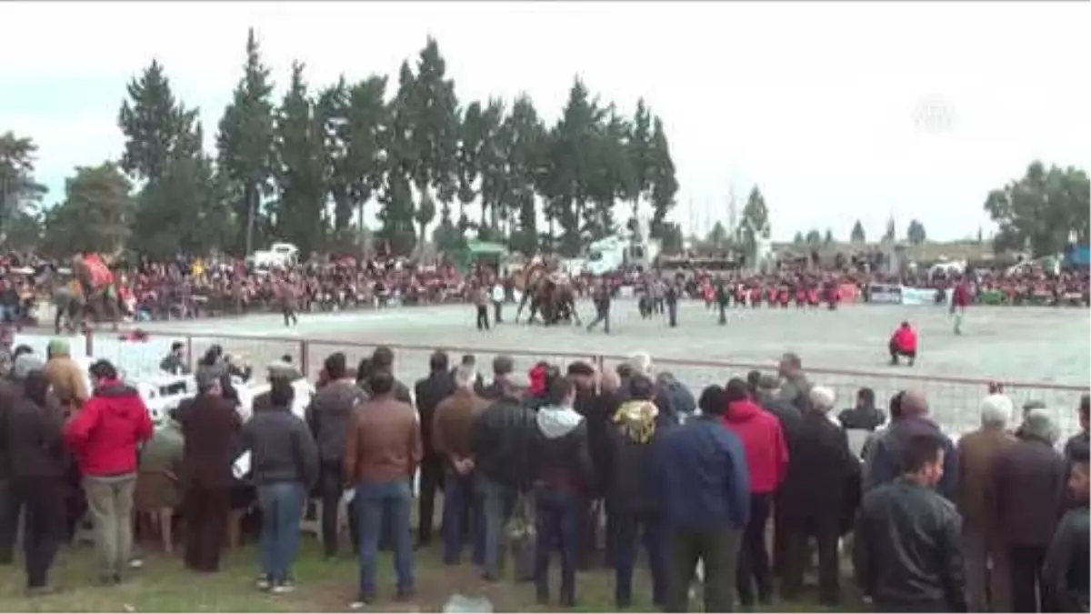 Deve Güreşlerinde Şehit Olan Askerler Anısına Davul ve Zurna Çalınmadı