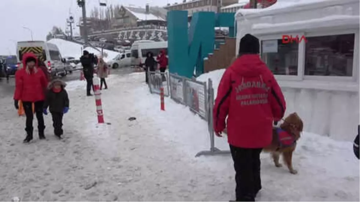 Erzurum Jandarmanın Arama Köpeği Gurbet, Palandöken\'in Koruyucusu