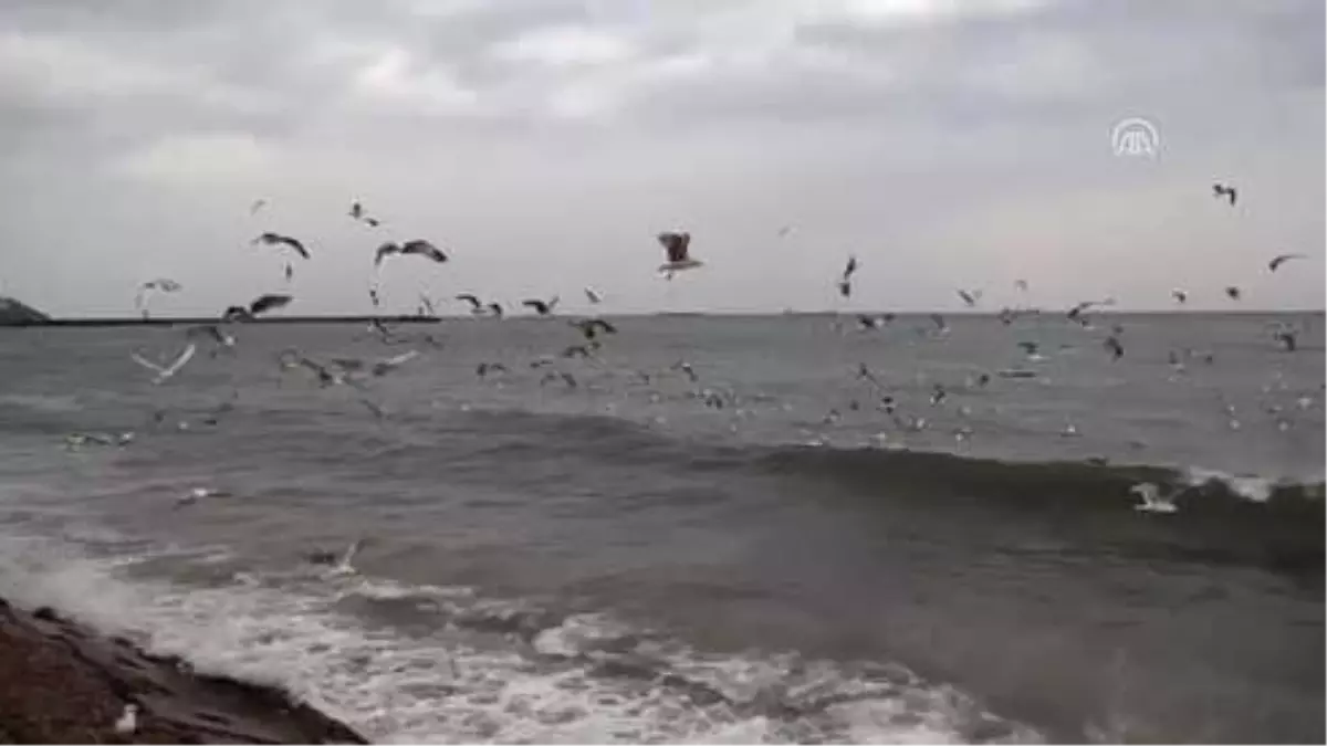 Marmara Denizi\'nde Ulaşıma Lodos Engeli - Tekirdağ