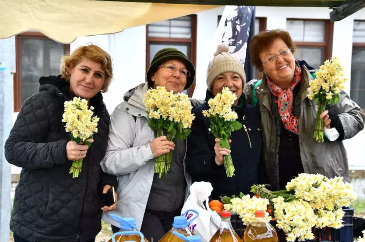 Nergis Turları "Kapalı Gişe"