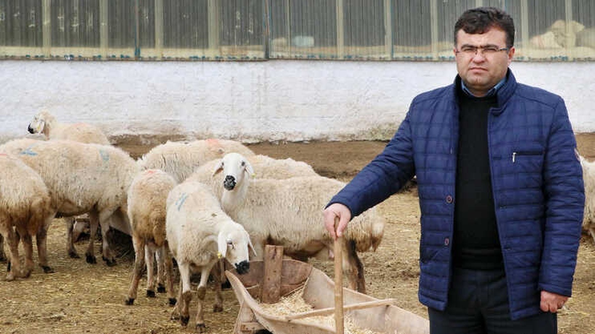 Yerli Çoban Sıkıntısı Afganlılara İstihdam Sağladı