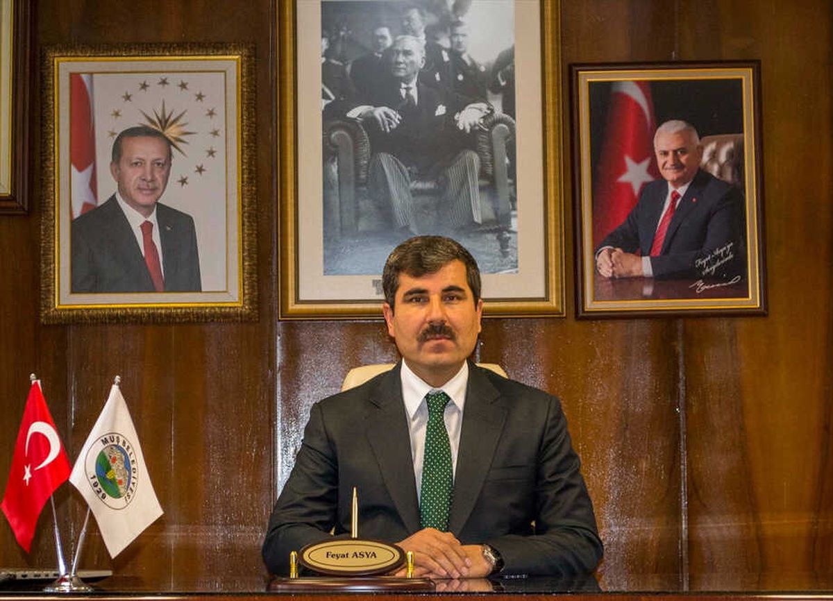 Zeytin Dalı Harekatı