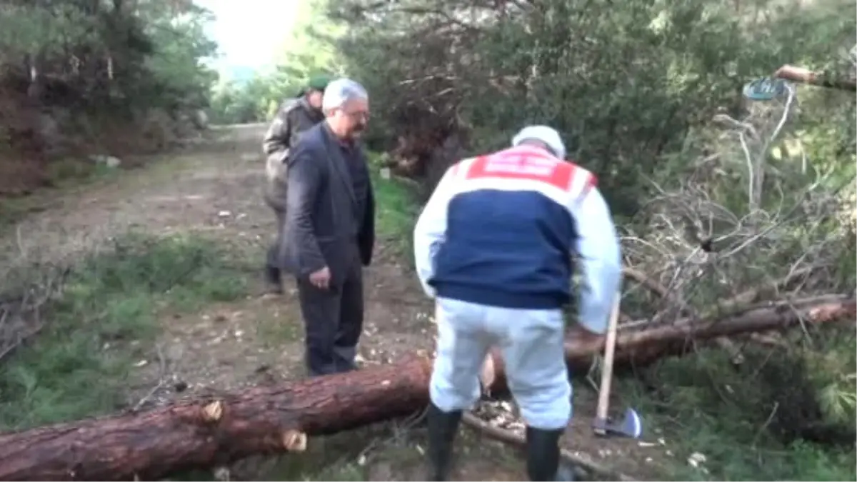 11 Gün Sonra Cansız Bedeni Bulundu