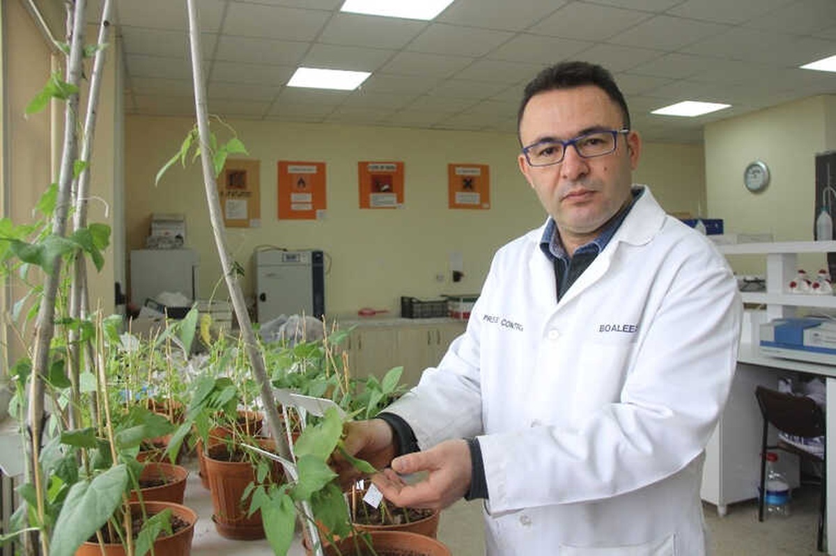 Çiftçiler Kuraklığa Dayanıklı Tohumlar Seçmeli"