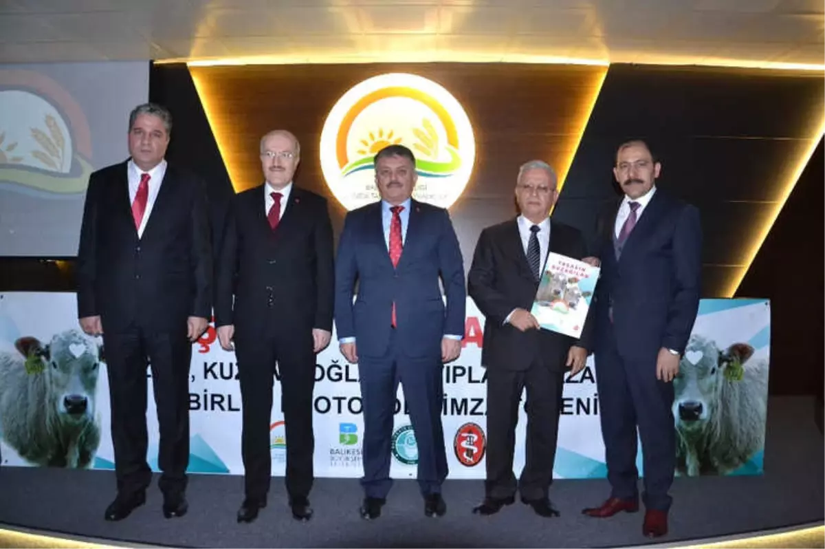 Hedef Buzağı Ölümlerini Sıfırlamak