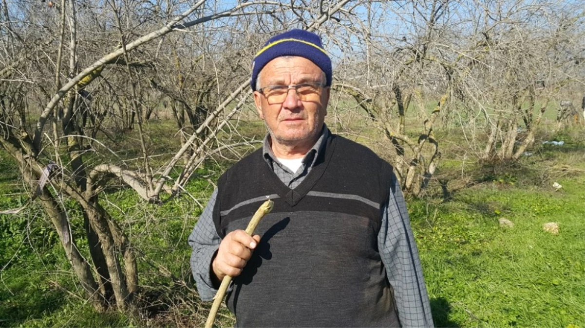 Almanya\'da Emekli Oldu, Memleketinde Çiftçiliğe Devam Ediyor