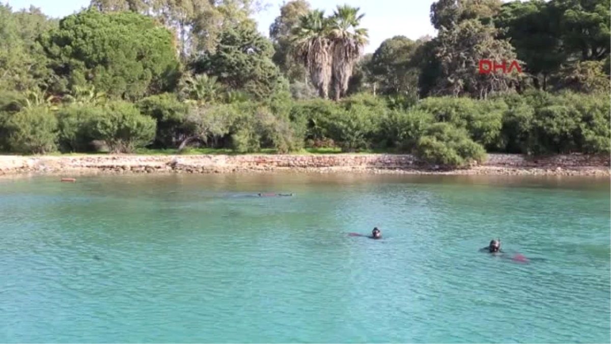 Bodrum Güvercinlik\'te Deniz Dibi Temizliği