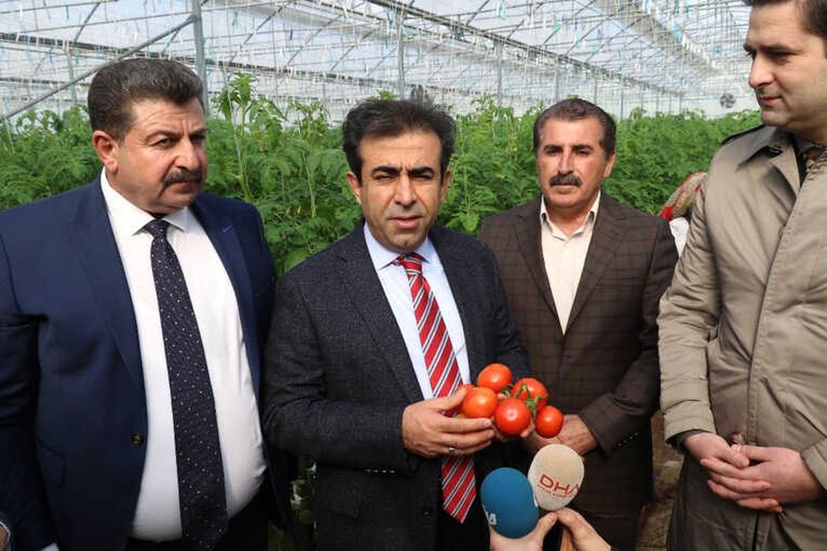 Tek Serada Yılda 30 Tona Yakın Ürün Alınıyor