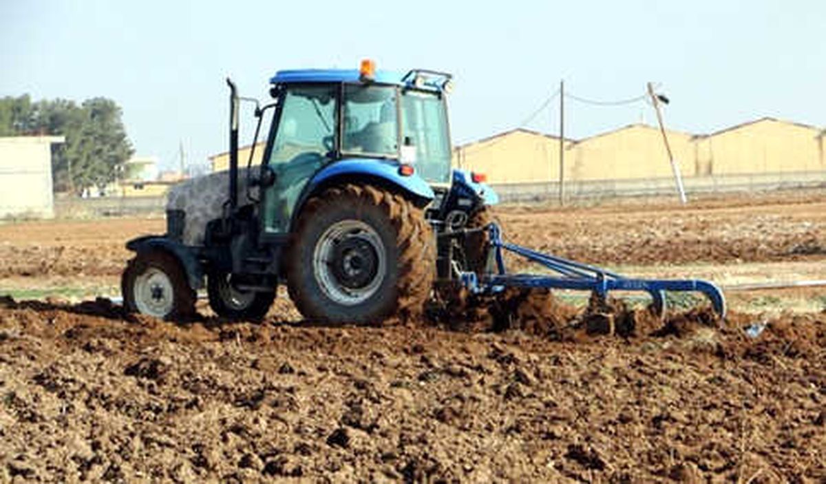 Yağışlar Gap Çiftçisine Nefes Aldırdı