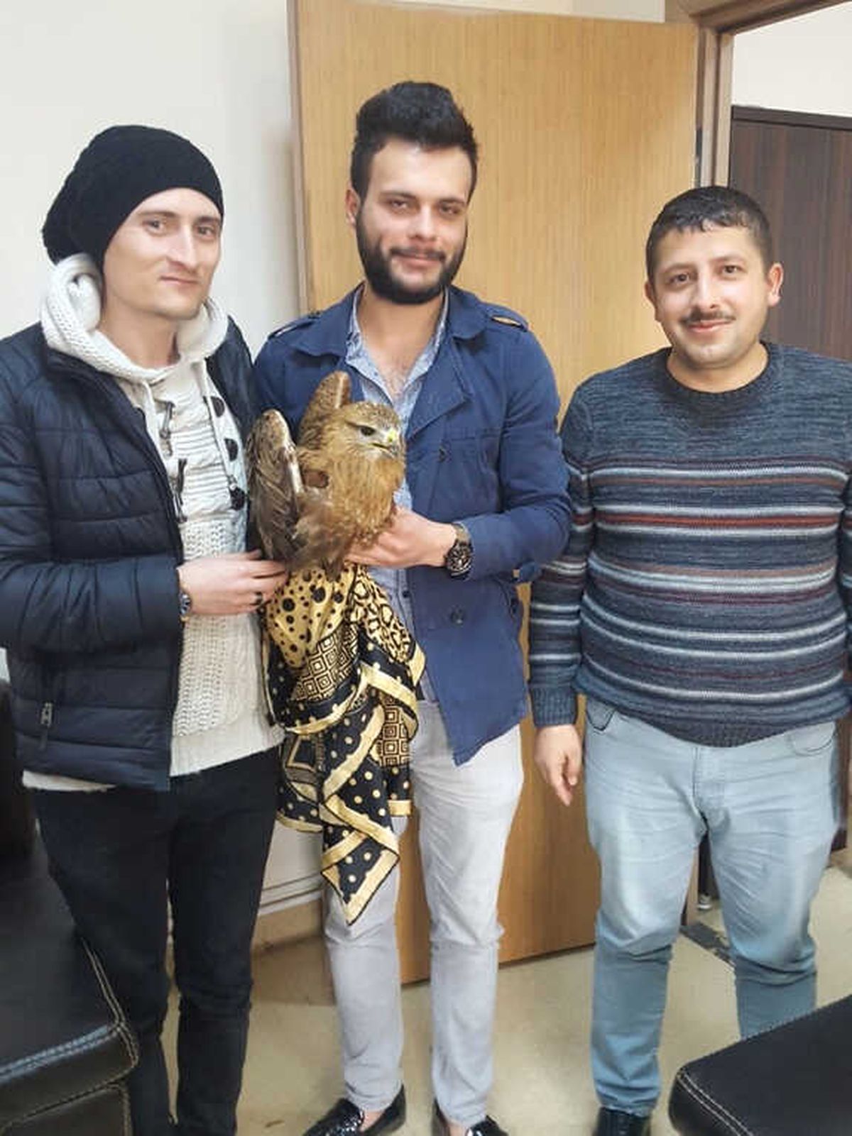 Yolda Bulunan Yaralı Şahin Tedavi Altına Alındı