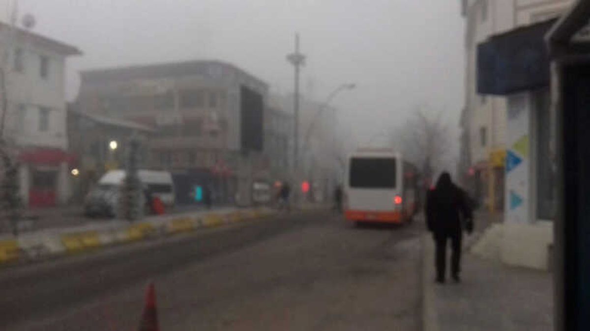 Ağrı\'da Yoğun Sis