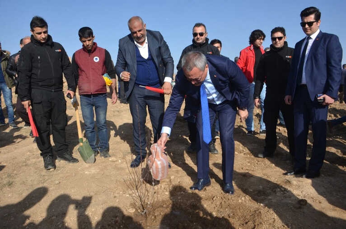 Batman\'da Şehitler Anısına 2 Bin 300 Fidan Dikildi