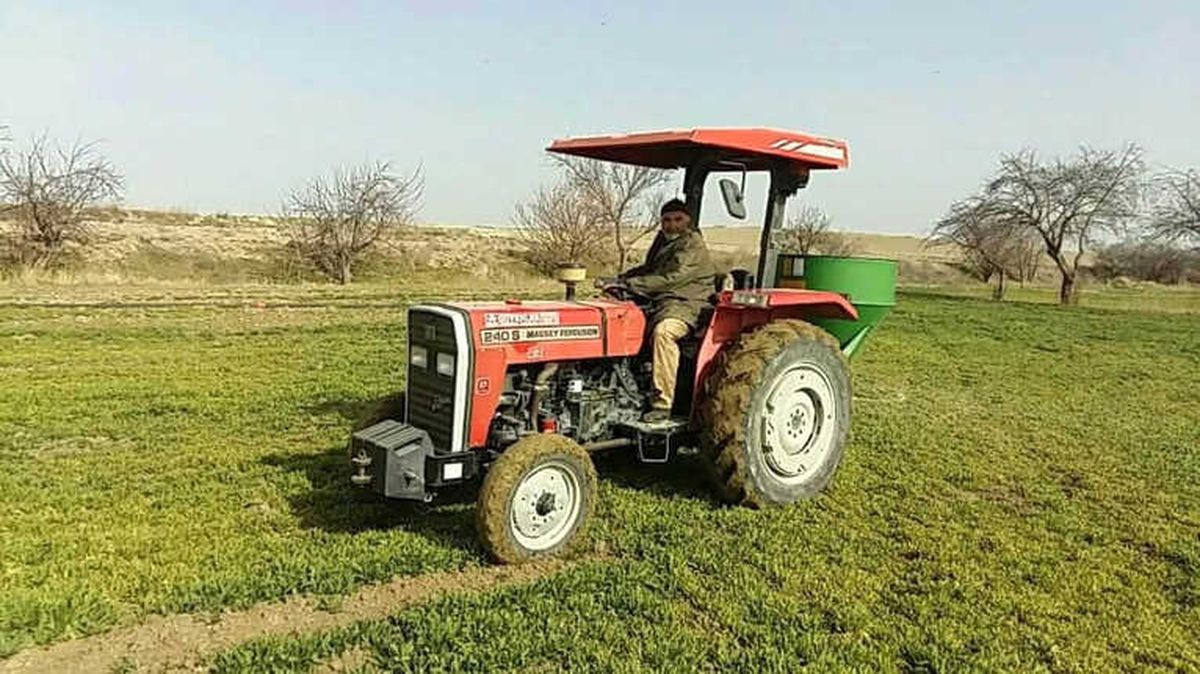 Çiftçiler Mahsullere Çimen Gübre Atmaya Başladılar