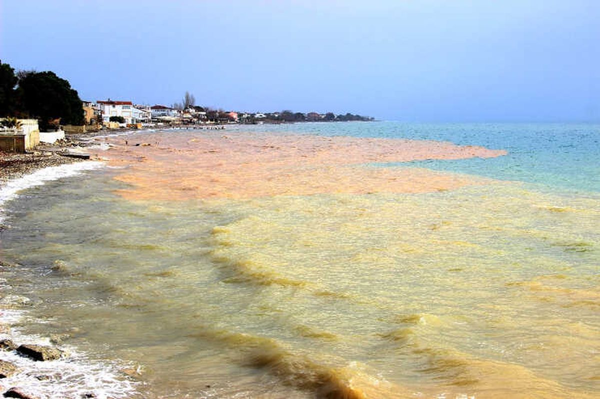 Deniz İki Renge Büründü