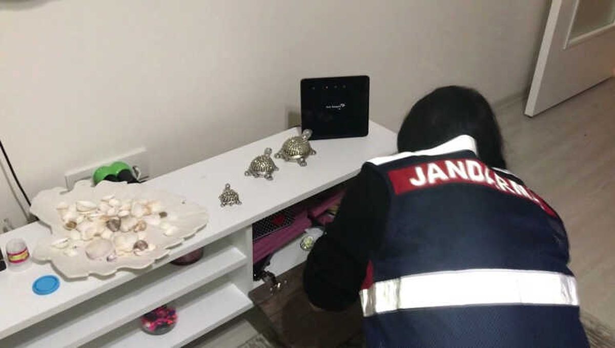 Fetö ile Korkutup Dolandırdılar