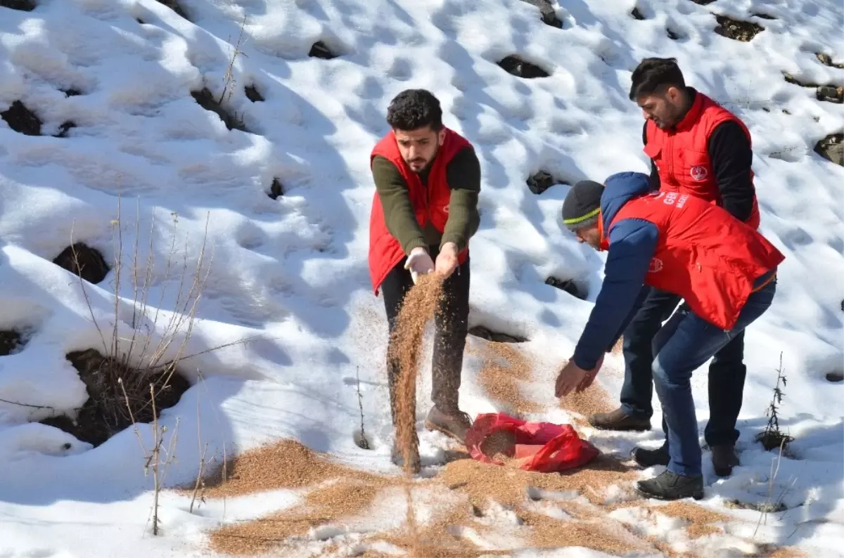 Gençlik Liderleri, Yaban Hayvanları İçin Doğaya Yem Bıraktı