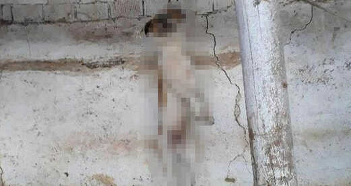 İzmir\'de Asılarak Öldürülen Köpek İçin Giden Polisler, Şok Yaşadı
