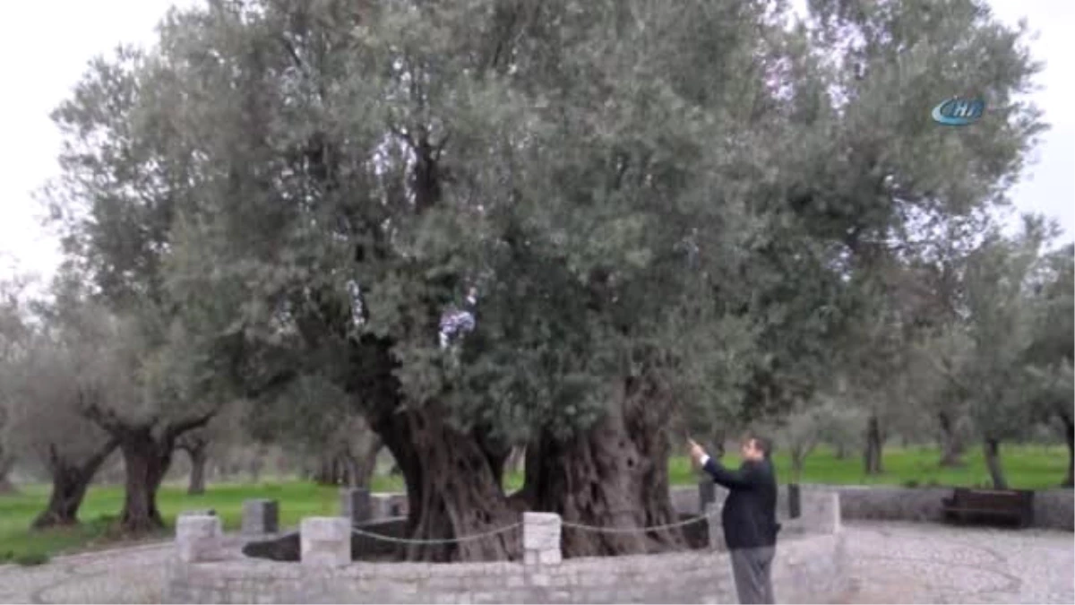 Kırkağaç ve Hristiyan Alemini Heyecanlandıran Gelişme