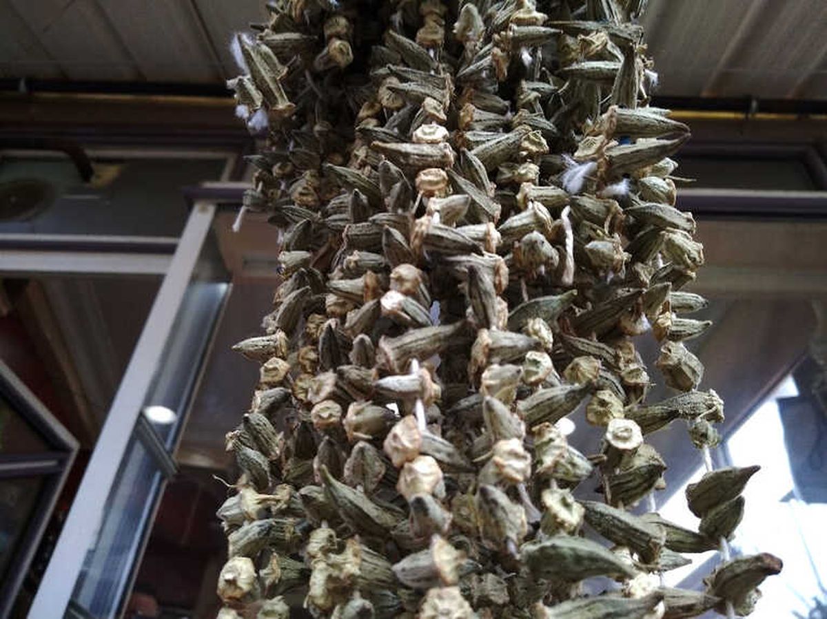 Kuru Bamya Altınla Yarışıyor