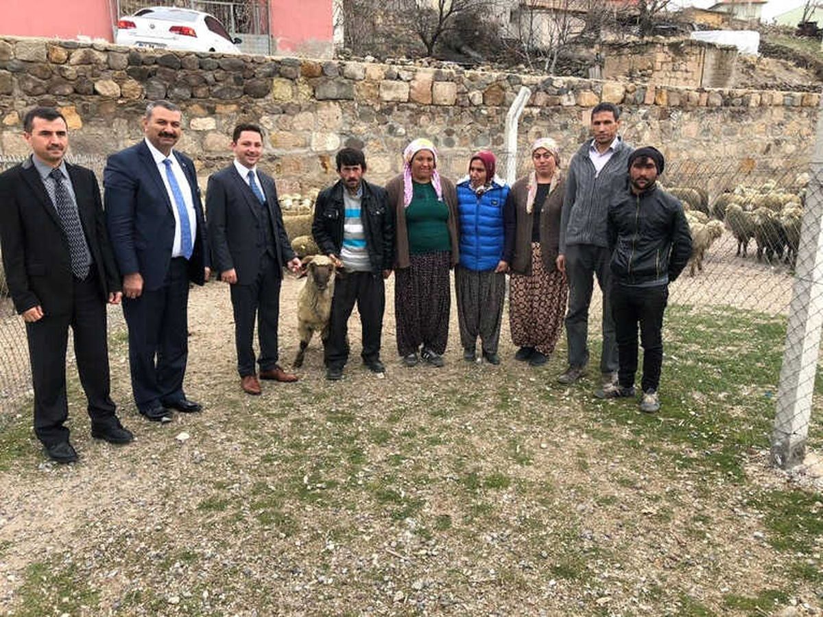 Altunhisarlı Genç Çiftçilere Koyun Dağıtıldı