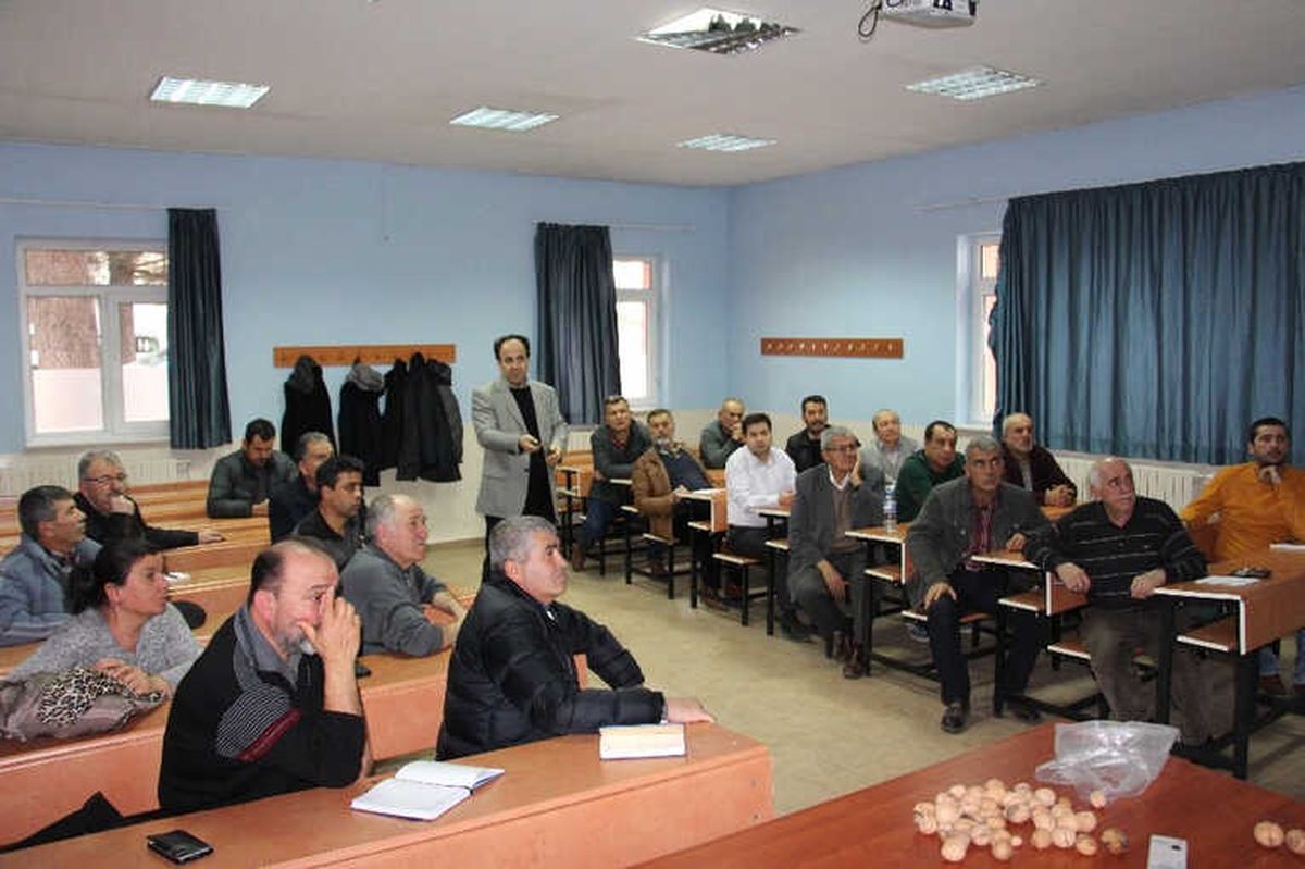 Ceviz Gönüllüleri