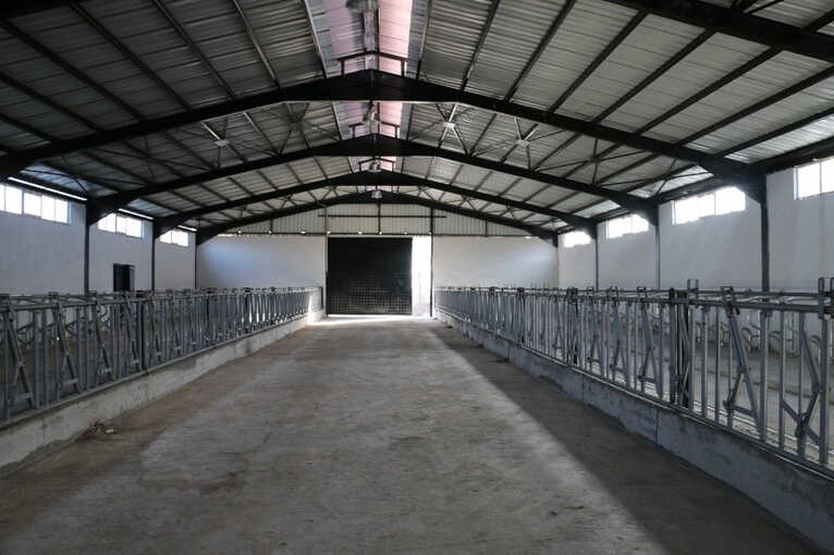 Erzincan\'da Modern Ahır Projeleri Yükselmeye Devam Ediyor