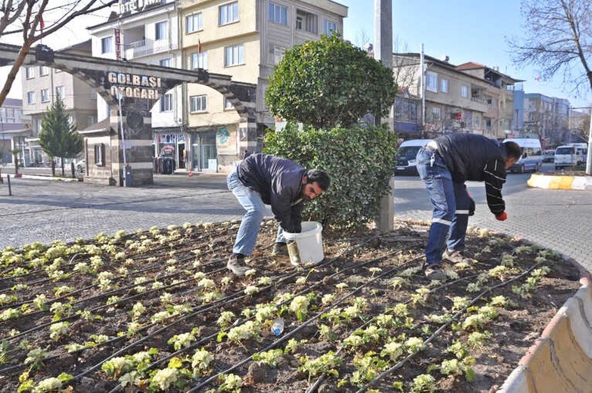 Gölbaşı İlçesinde Peyzaj Çalışmaları Devam Ediyor