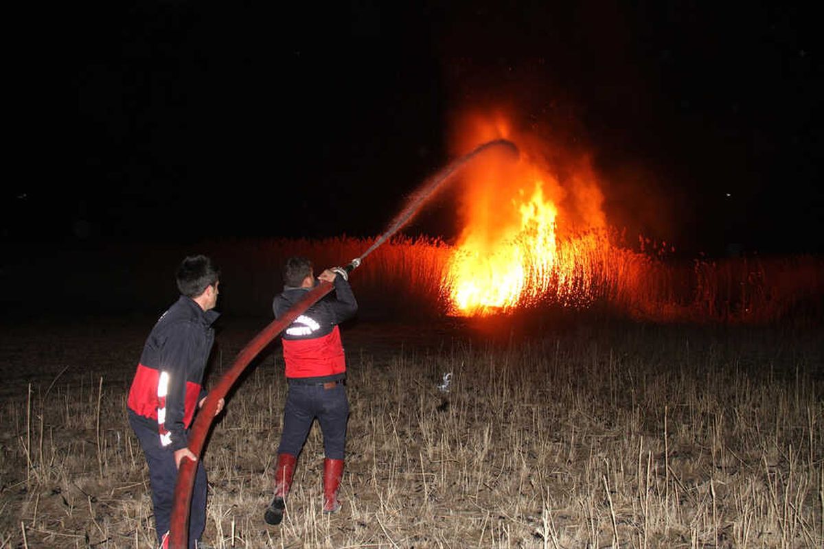 Muradiye\'de Sazlık Yangını