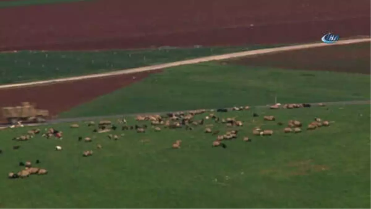 Reyhanlı\'ya Askeri Takviye Sürüyor