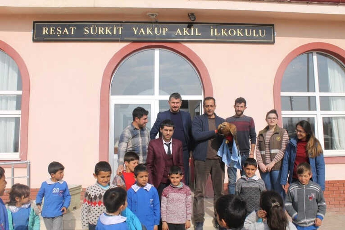 Bozkır Şahin\'i Doğaya Bırakıldı