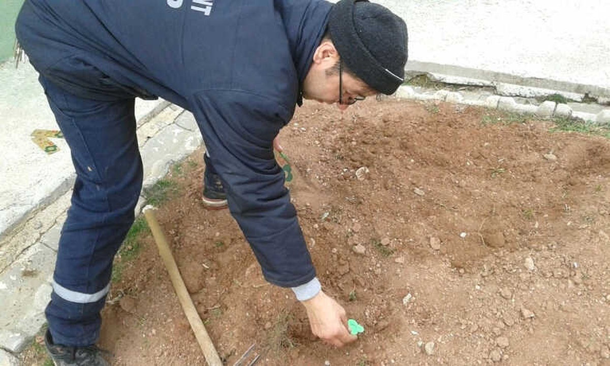 Elektronik Atıklar Çiçek Tohumuna Dönüşüyor