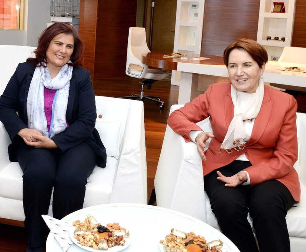 Meral Akşener; "Topuklu Efe, Özlem Hanıma Yakışıyor"