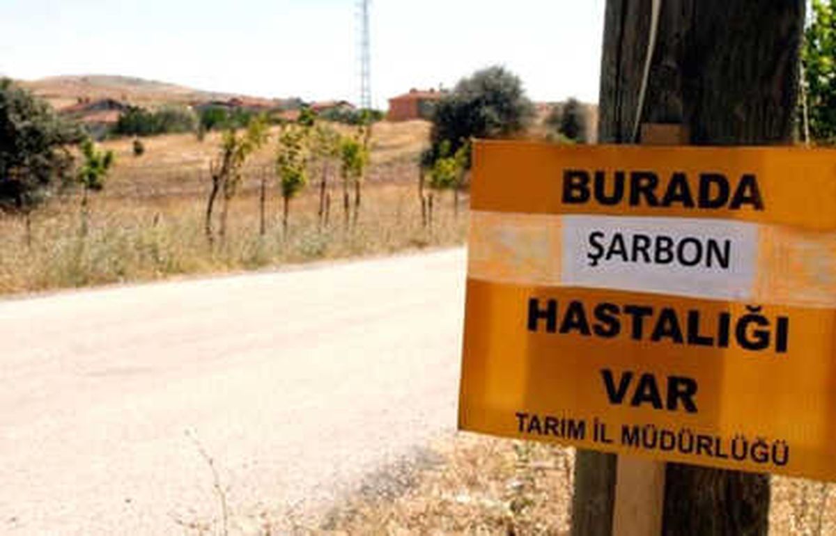 Trabzon\'da Şarbon Şüphesi
