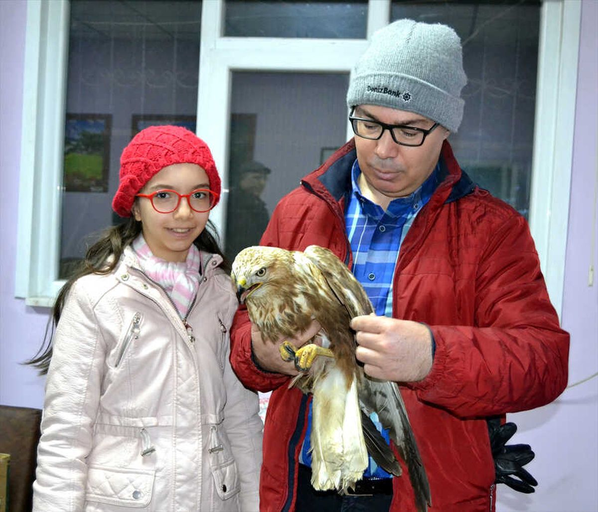Yaralı Halde Bulunan Şahin Tedavi Edilecek