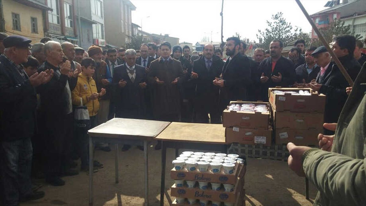 Zeytin Dalı Harekatı