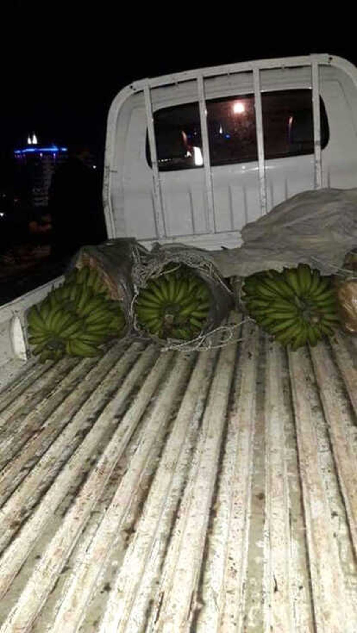 Muz Hırsızları Suçüstü Yakalandı