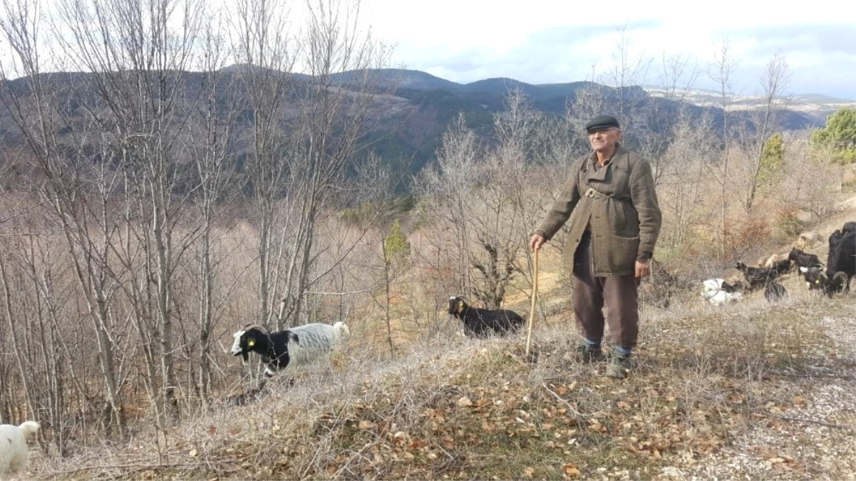 Akdağ\'da Kış Ortasında Bahar