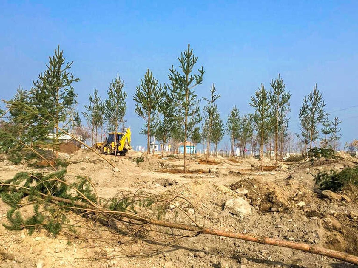 Atabey İskelesi Yeniden Düzenleniyor