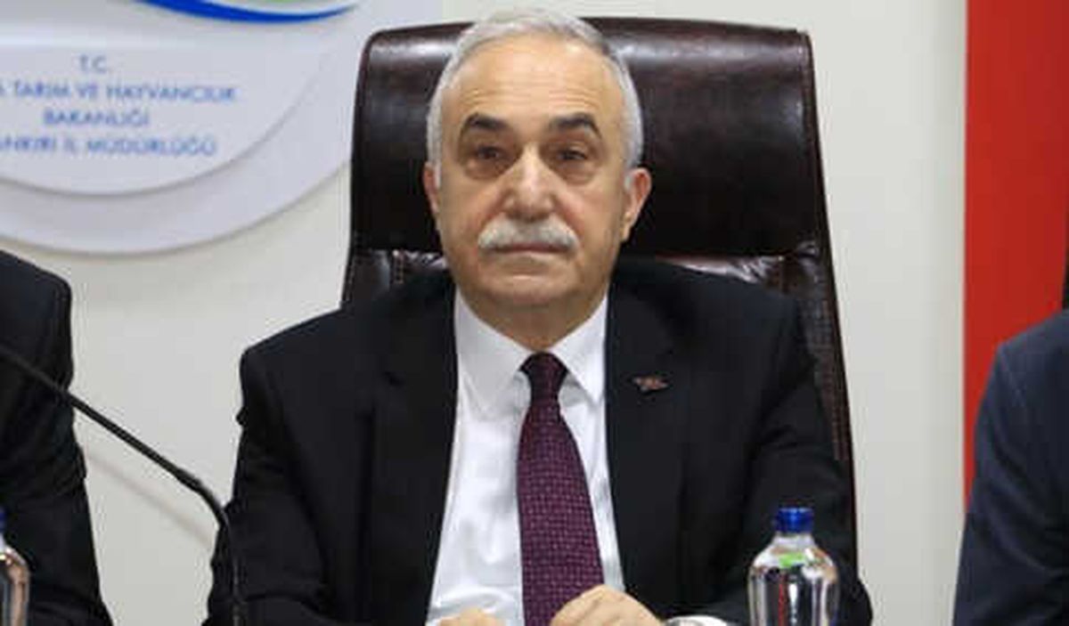 Fabıbaba: Düve ve Anaç Koyunu Artıracak Projelerimiz Var