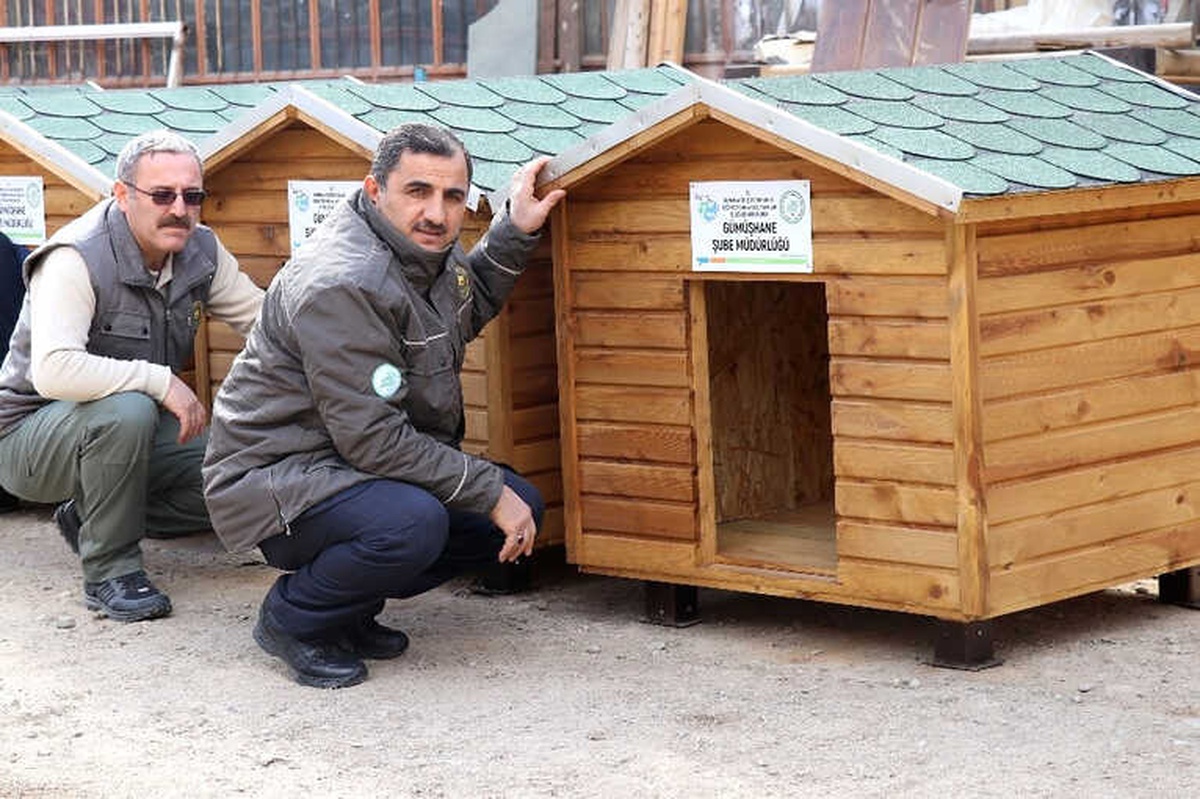 Gümüşhane\'de Sokak Hayvanlarına Beş Yıldızlı Kulübe Yapıldı