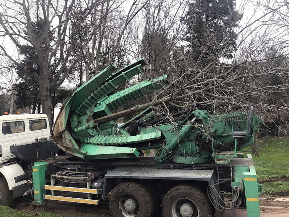 Maçka Parkındaki Ağaçlar Sökülmeye Başlandı