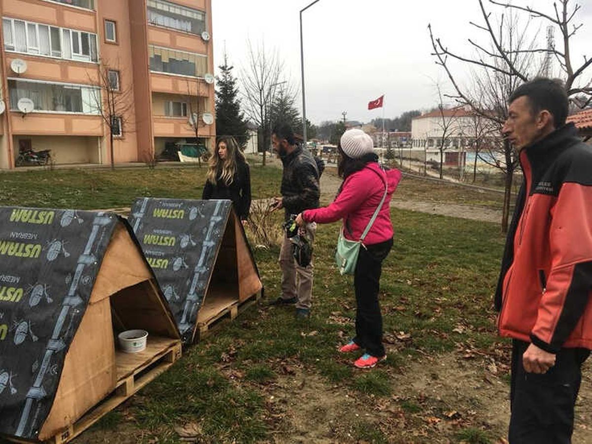 Nilüfer\'den Keles\'teki Can Dostlara Yardım Eli