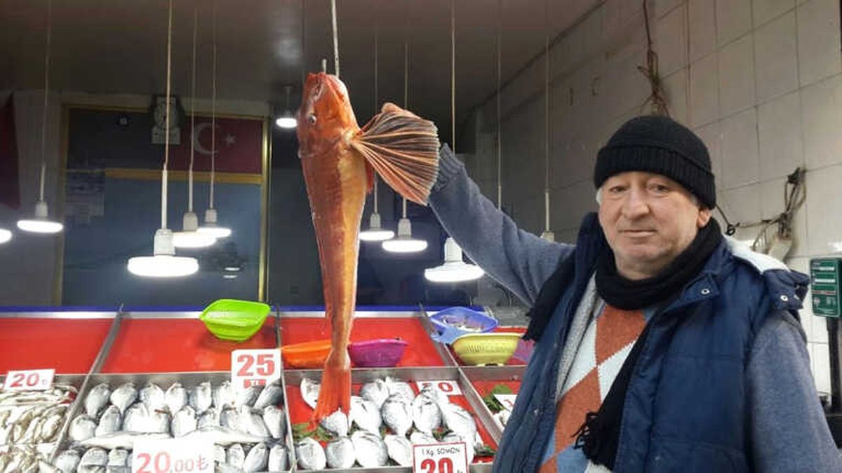 Uçar Balığı Ağa Takıldı